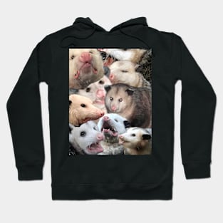 Possum collage Hoodie